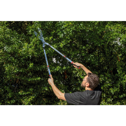 Cisaille à haie télescopique Capvert