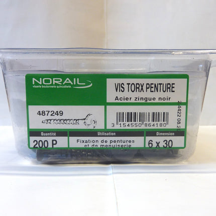 Scharnierschraube 6 x 30 Norail
