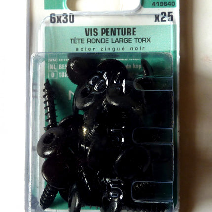 Vis penture  6 x 30 Norail