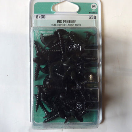 Vis penture  6 x 30 Norail