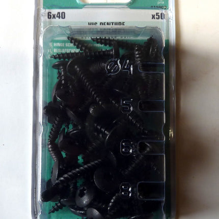 Norail 6 x 40 hinge screw