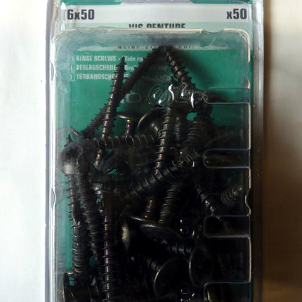 Norail 6 x 50 hinge screw