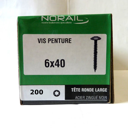 Scharnierschraube 6 x 40 Norail