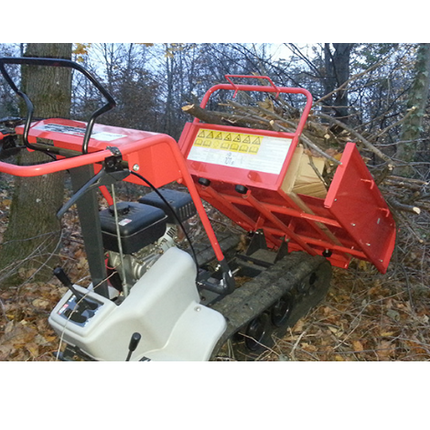 Brouette à moteur Imer BP 31