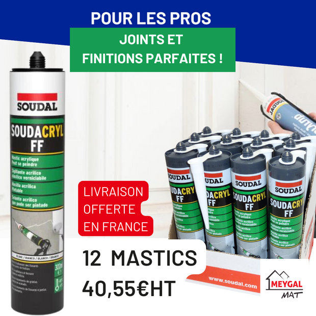 Carton de Mastics