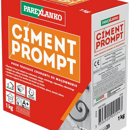 Ciment prompt Parexlanko